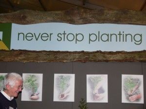Never stop planting